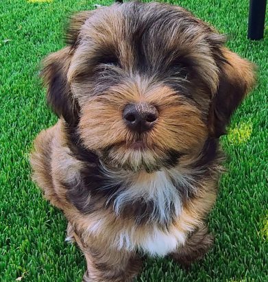 Lando_Jul4